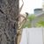 Nellie Hatton Rvt's profile image