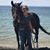Valerie Peer-Cort's profile image