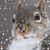 Lisa Marie Sharpe's profile image