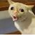 Tom Mgerack's profile image