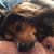 Debbie Weir's profile image