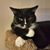 Jana Switzer Fercho's profile image