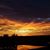 Amy Webster Carlson's profile image