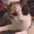 Aileen Gram-Reefer's profile image