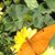 Kim Carr's profile image