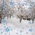 Melissa S Chowning's profile image