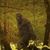Joshua Jeremiah Cates's profile image