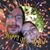 DeAnn Dellinger James's profile image