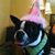 Luci Messina's profile image