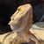 Aundra Story's profile image