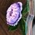 Sandie Halmes Metcalf's profile image