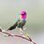 Leila Foley's profile image