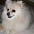Johnny M. Cox's profile image