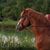 Deana Hubbard Kelly's profile image