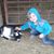 Lauren Westervelt's profile image