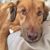 Maria Culbreth Encarnacion's profile image