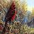 Judy Hulsey's profile image