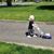 Amy Siegel Loxley's profile image