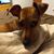 Janet Bokamp's profile image