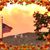 Jean Caldwell's profile image