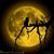 Cathy Wilfong's profile image