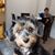 Shelly Hockett's profile image