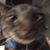 Elizabeth Evans's profile image