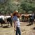 Vanessa Gallego's profile image