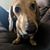 Brian Napier's profile image