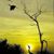 Firoz Alam Amin's profile image
