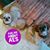 Kathleen Davis's profile image