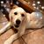 Melissa Bryan Neill's profile image
