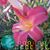 JeannieandFran Colby's profile image