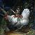 Alexia Maizel's profile image