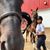 Victoria Couillard's profile image