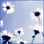 Stephanie S.'s profile image