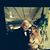 Michael F Lanigan's profile image