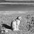 Deb Kadamus's profile image