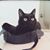 Jonathan Evans's profile image