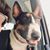 Christy Wilson's profile image