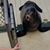 David Hille's profile image