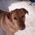 Melissa Liesen Gilmore's profile image