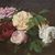 Inha Yoo's profile image