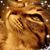 Becky Lewis's profile image