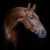 El'Frenito Garcia's profile image
