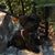 Melinda Gerhard Del Mastro's profile image