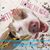 Katie Leigh Stall's profile image