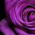 Tunisia Carter's profile image