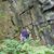 Kristie Craver's profile image