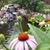 Ann Fuellenbach West's profile image